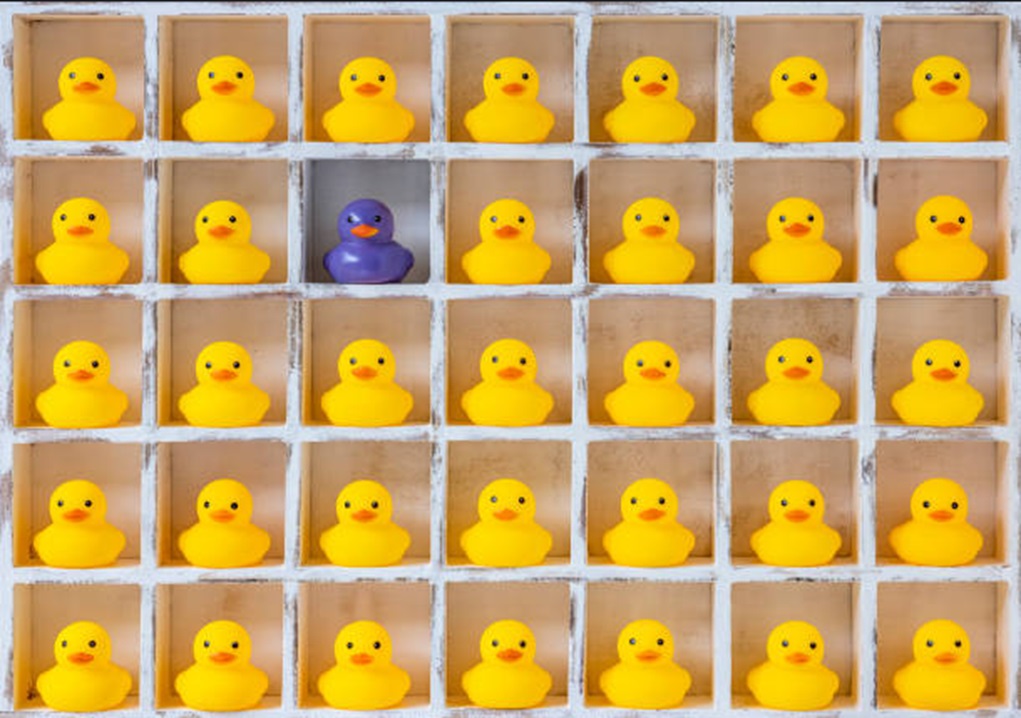 Stand Out From The Herd